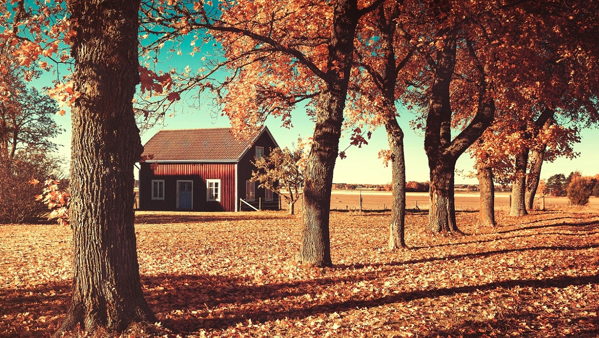casa-autumn-blog